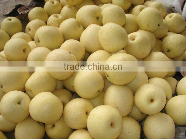 Asian ya pear