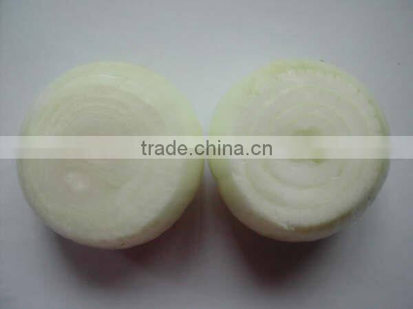 2015 new crop fresh peeled onion in china