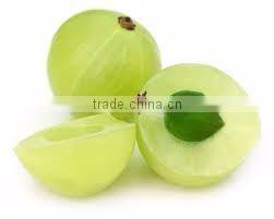 High quality Amla Extract