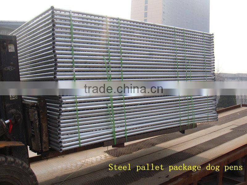 5'X10'X6' heavy duty galvanized steel dog pens enclousures outdoor welded mesh dog kennels