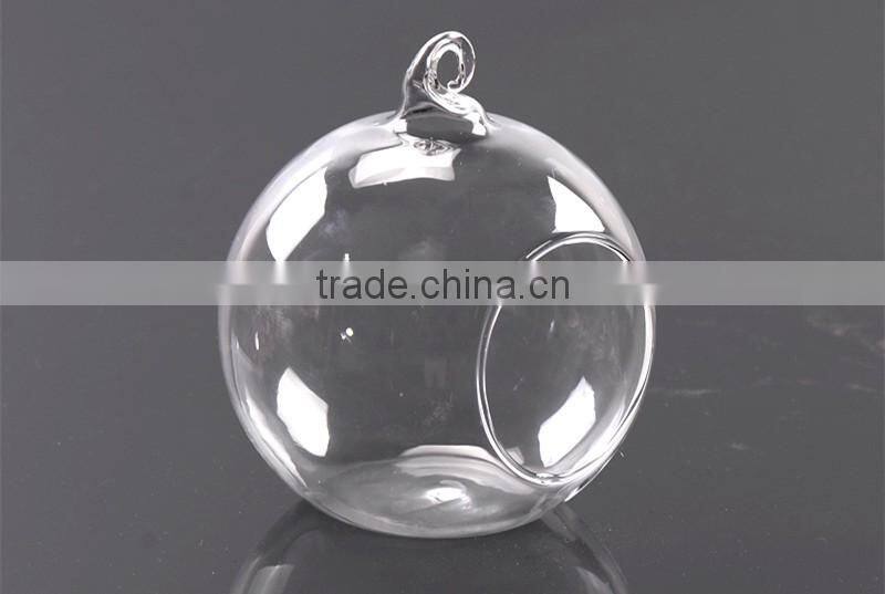 clear glass Vase globe glass Landscape bottle beautiful