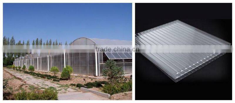 PC Sheet Cover Material and Multi-Span Commercial Greenhouses for Agriculture for Sale