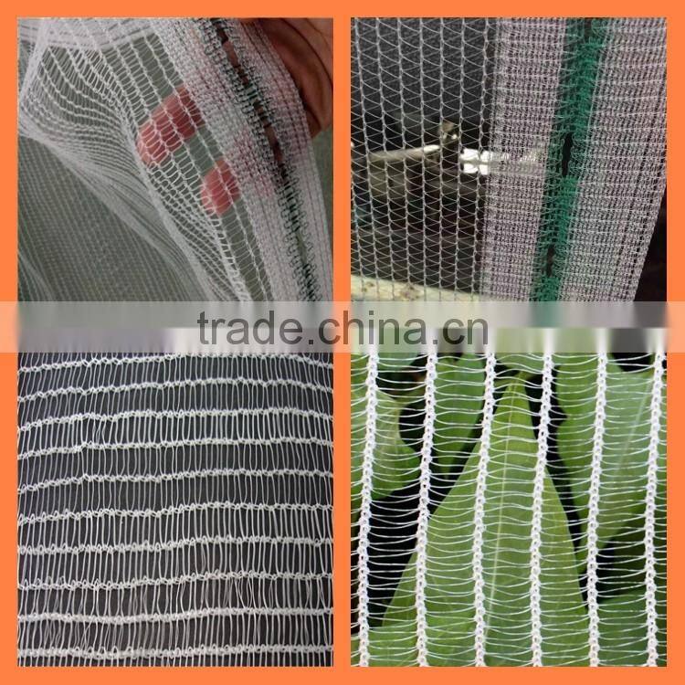 For Agriculture Plantation Anti hail Net