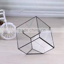 Micro landscape indoor glass greenhouse/ clear glass indoor plant terrarium /Geometric Glass Terrarium
