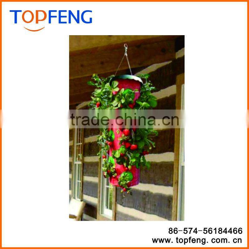 Hanging Strawberry Planter