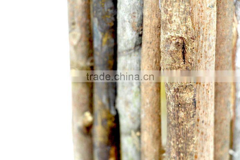 Wooden Pen Holder. Wood Branch Pen Pot, Square Wood Pen Holder