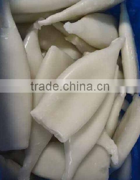 Frozen Squid Tube U5