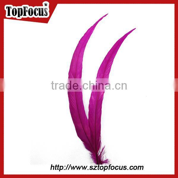 dyed color big long natural grizzly rooster feathers for sale