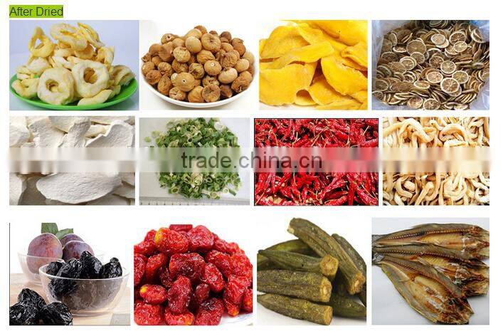 High quality freeze dried machine