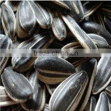 Sunflower Seed Color Sorting