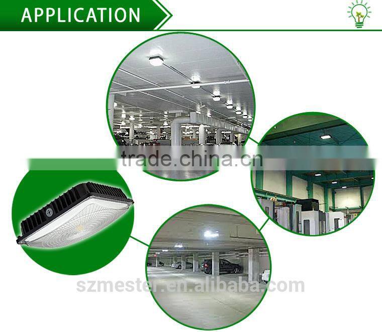 Mester Led ceiling mount or pole mount canopy light with UL & DLC