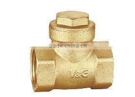 China Manufacturer Durable Hot Product Butterfly Check Valve dn50