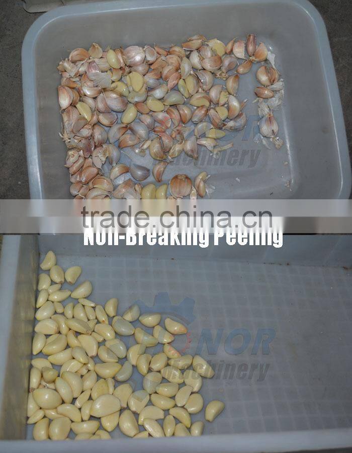 new design hot sale garlic peeling machines from factory