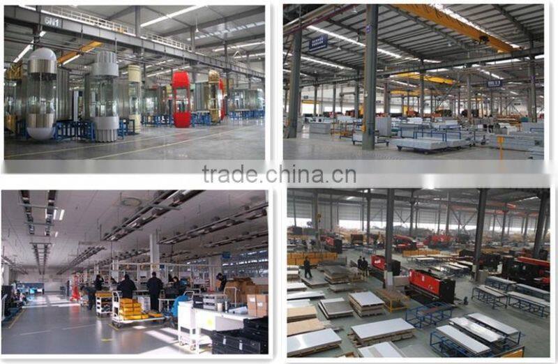 Factory Outlet Low Operating Cost Good Quality Machine Roomless Elevator