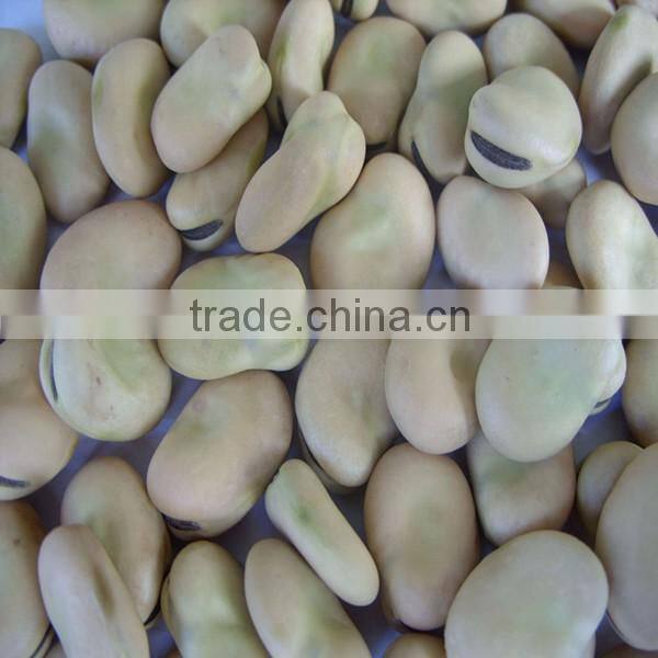 Private Label Organic Hulled Hemp Seed,Hemp Seeds,Shelled Hemp Seeds