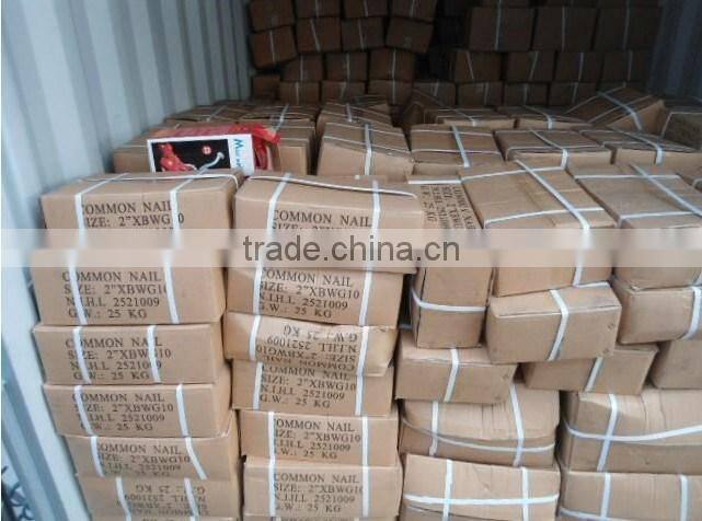 Common Nail Professional Products