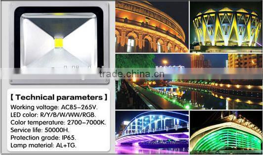 China Supplier led flood light 50w CE SAA ROHS certificate