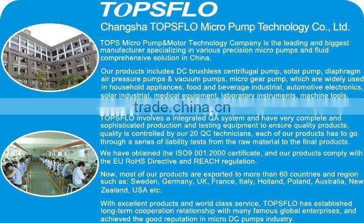 Diaphragm 12v 24v dc brushless Home Oxygen Concentrators pump