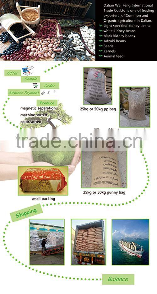 China New crop red adzuki bean