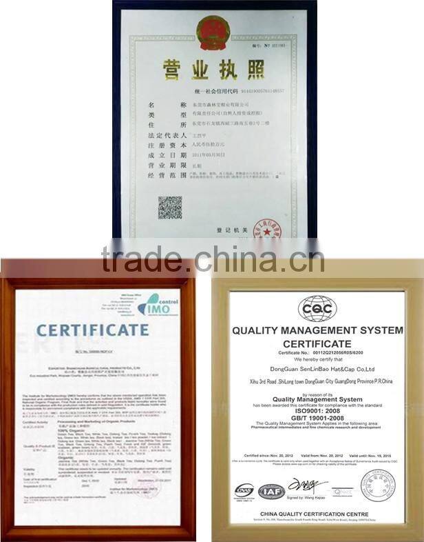 Hot sell high quality diversified free style baseball caps