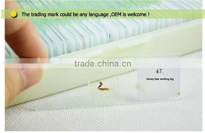 Polarizing microscope geography grinding section slides