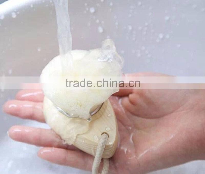 Shenzhen Factory Face Cleansing Brush for Personal