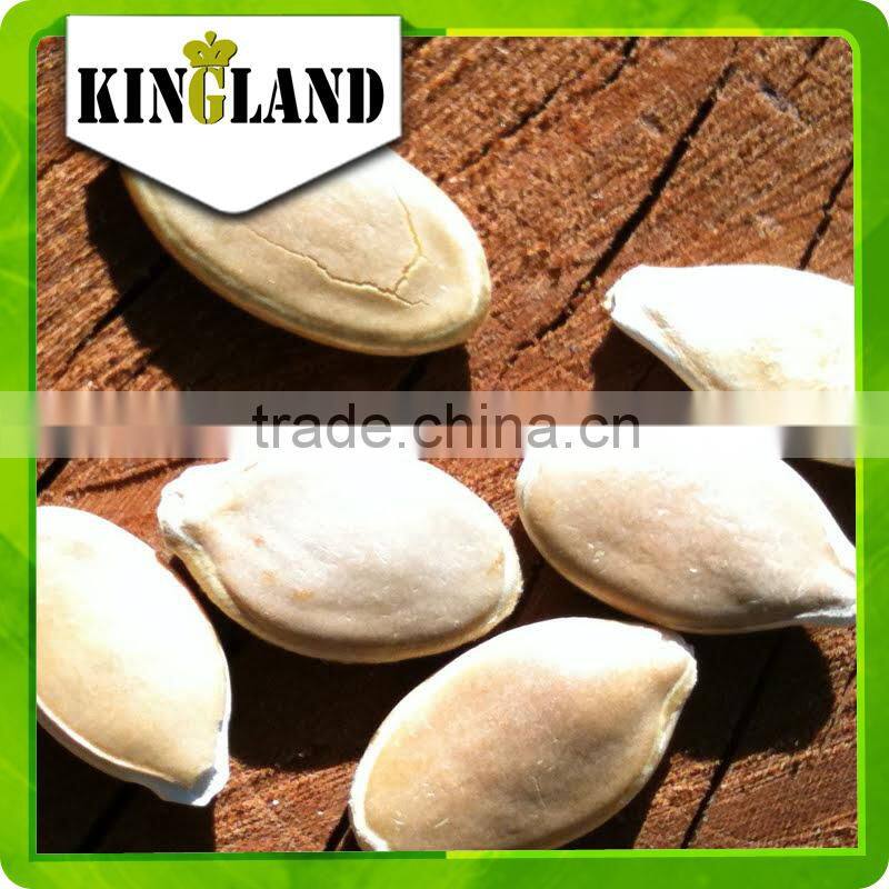 Top sales raw edible seeds Shine Skin Pumpkin Seeds (light yellow color) with best price from China