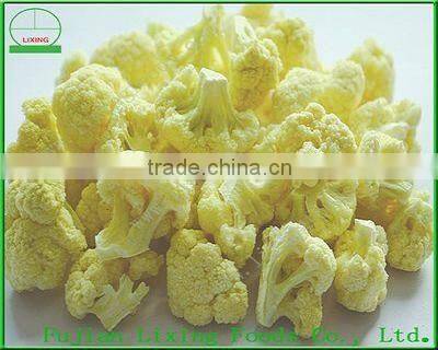 Freeze-dried carrot dice used in instant foods or restaurant
