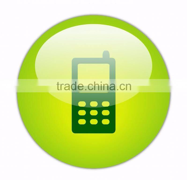 Fresh cut Chrysanthemums flower