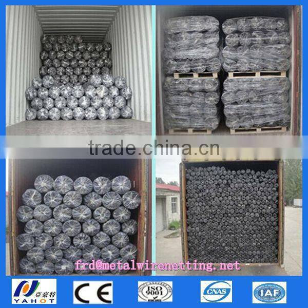 Anping galvanized hexagonal wire mesh/ chicken wire / PVC coated chicken fence