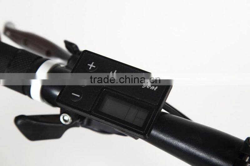 26 inch electric mountain bicycle with 250w Brushless hub motor