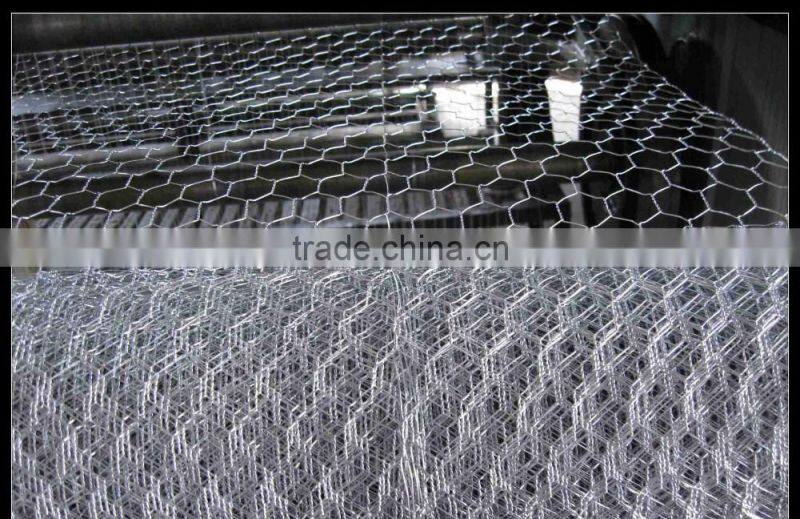 China supplier welded wire mesh