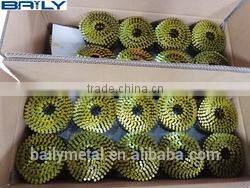 Factory Manufaturer Supply plastic strip nails / Electro galvanized gas pins nail