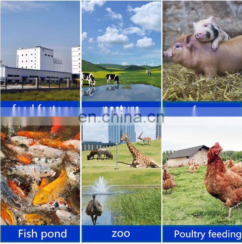 Small pet fish Shrimp Food Making Extruder Floating Fish Feed Pellet Machine