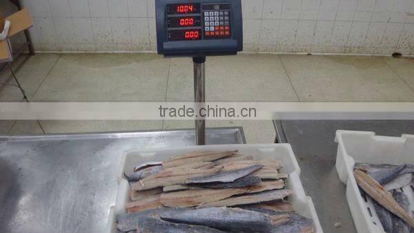 Best Quality Seafood Product Frozen Spanish Mackerel Fillet