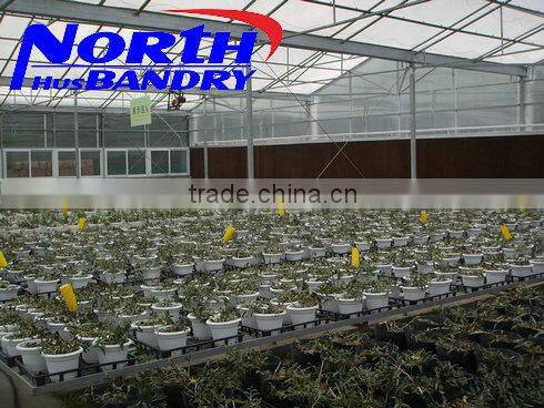 Commercial Greenhouse for agriculture