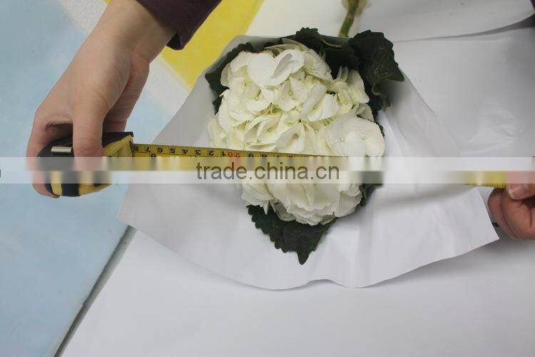 Wide varieties best selling fresh hydrangea flower