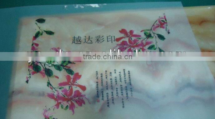 automatic digital iphone/ipad sticker printer/ printing machine, factory outlets!