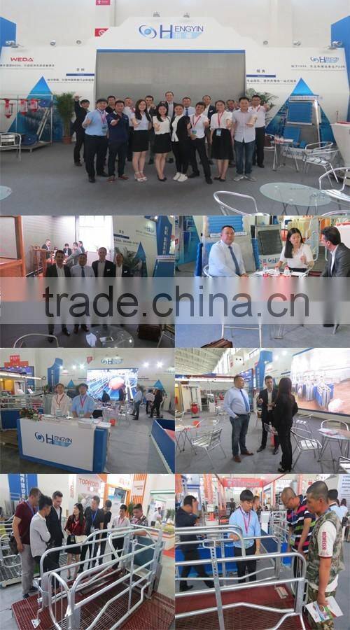 Chicken farm south africa egg layer cages