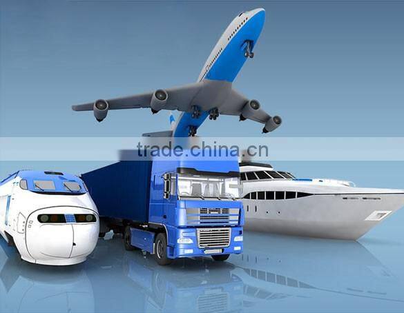 stainless steel adjustable high pressure spring loaded one way valve non return valve natural gas check valve