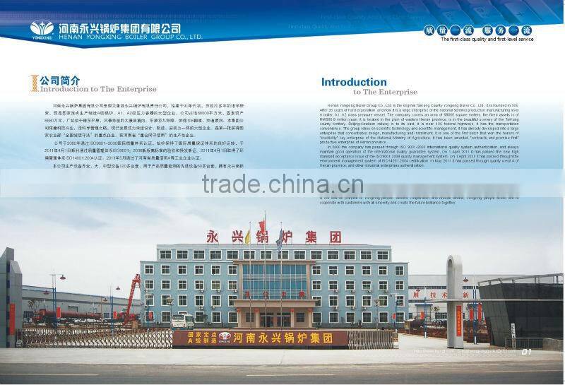 Vertical wood- fired Steam Boiler