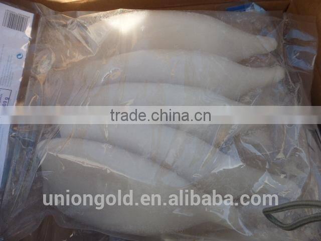 Frozen Squid Tube