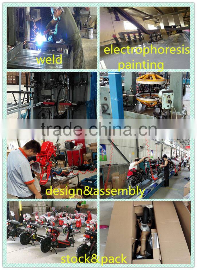 import fast delivery electric mountain bicycle for Europe market