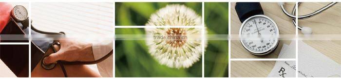 Medical Aneroid Hot Pink Hearts Sphygmomanometer and Sprague, Rappaport Kit