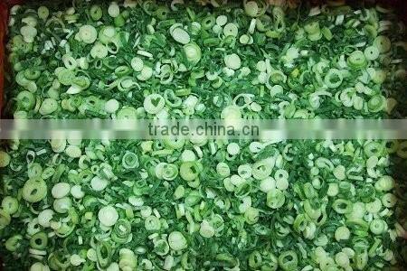 Frozen 2015 Spriing Crop Scallions