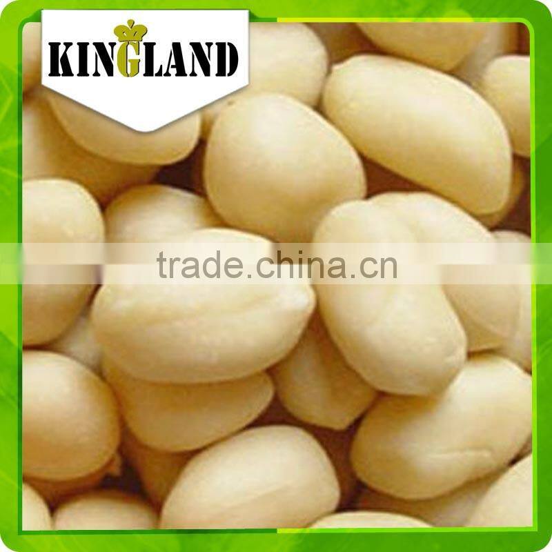 China Supplier blanched peanut kernel
