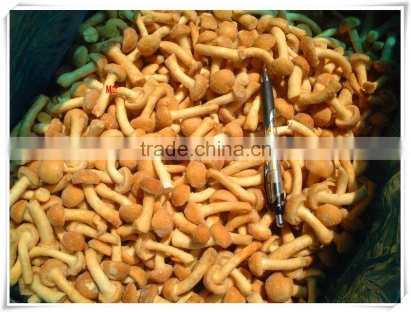 Best selling fresh frozen shiitake mushroom