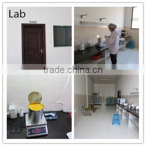 D.W.60% Canned mandarin orange sacs of 3kg for beverage