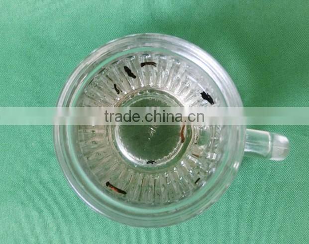 4oz small transparent white glass empty pumpkin-shaped TEA /COFFEE cups with handle with Saucer