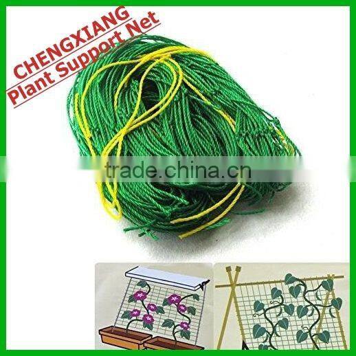 Vegetable Climbing Net /PE Plant Support Net